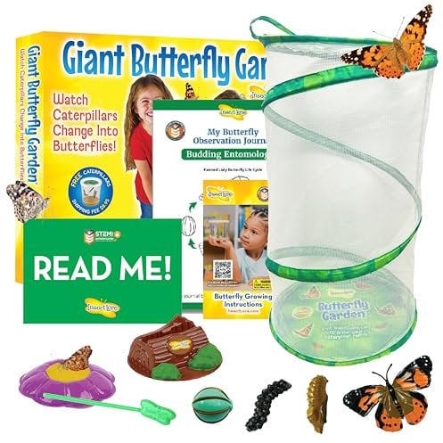 Insect Lore Giant Butterfly Garden Kit (Packaging May Vary)