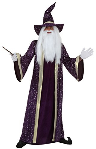 Fun Costumes Adult Plus Size Wizard Costume, Purple Wizard Robe for Magic & Sorcery Dress Up, Cosplay & Halloween, 2X
