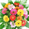 Bunter Blumenstrauß - 12 bunte Gerbera - Inklusive Grußkarte - Geschenktipp zum Geburtstag