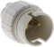 Douille B22 Nylon simple bague Blanc
