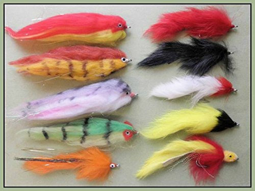 Hecht Angeln Fliegen, 10 Stück, Mixed Patterns, Größe 1/0 & 2/0, Pike Fly Angeln