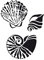 Viva Decor Universal A4 Muschel Schablone Schablone Vintage Shabby Upcycling, 4042972129927