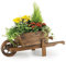 Rustic Garden Supplies - Carriola ornamentale, per piante, BAR5/B