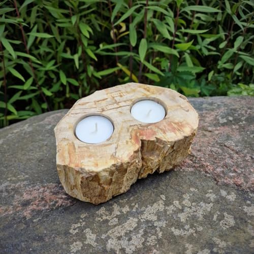 Budawi® Teelichthalter aus fossilem Holz Naturstein Unikat versteinertes Holz Deko Kerzenhalter poliert Petrified Wood