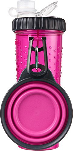 Dexas Popware for Pets Snack Duo - Botella de hidratación de doble cámara y recipiente para aperitivos con taza plegable para mascotas, color rosa