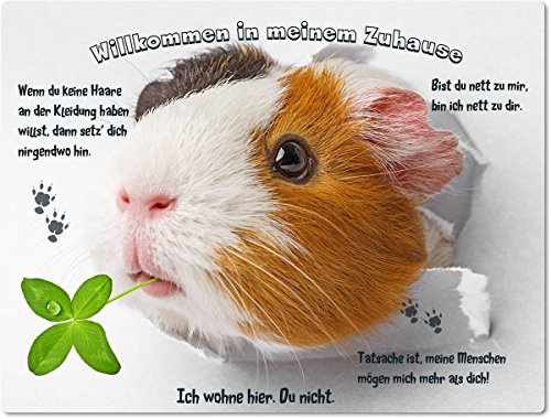 Merchandise for Fans Blechschild/Warnschild/Türschild - Aluminium - 15x20cm - - Willkommen in Meinem Zuhause - Motiv: Meerschweinchen Sieht durch Loch in der Wand - 06