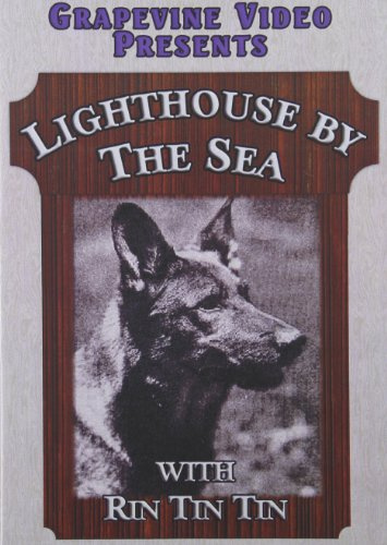 Lighthouse By The Sea