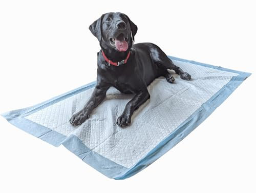20 Empapadores para Perros tamaño XL 80x150cm Grado Veterinario Superabsorbentes hasta 2300 ml
