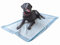 20 Trainingsunterlagen für Hunde, Größe XL, 80 x 150 cm, Veterinärqualität, sehr saugfähig, absorbiert bis zu 2300 ml