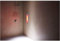 Sunshower Pure White oder Black mit Infrarotlicht