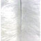 Marabufeder Federn Weiss 100-120mm weiss