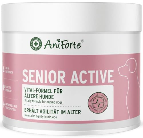 AniForte Senior Active Pulver 250 g für ältere Hunde - Mineralien, Aminosäuren & Vitamine für Hunde, unterstützt Gedächtnis- & Herzfunktion, Grünlippmuschel für Vitalität & Agilität, Senioren Futter