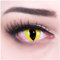 Farbige gelbe Katzenaugen Kontaktlinsen mit Stärke -2,50 Crazy Fun Color Contact Lenses 'Cat Eye' Topqualität Linsenbehälter