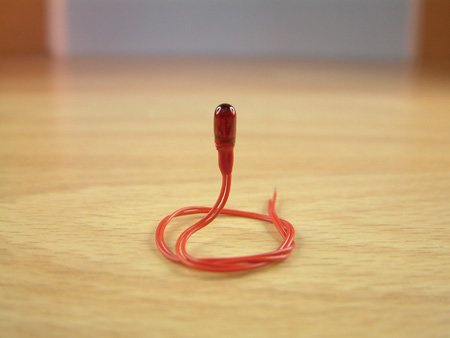 Expo 10pk Grain of Wheat 12v Red Bulbs # A25031