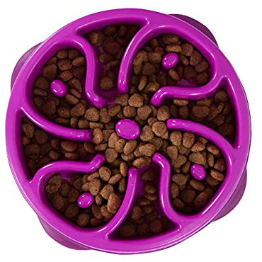 Outward Hound Slow Feeder Dog Bowl - Makes Meal Time Fun, Slows Down Eating, Promotes Healthy Digestion, Prevents Bloat | Slip Resistant and Durable, Food and Water Bowl, Size Medium (Purple)