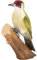WILDLIFEGARDEN Wildlife Garden WG452 DecoBird Grünspecht - Handgeschnitzter Dekorative Vogel aus Holz - Große Europäische Vögel