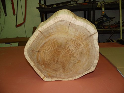KJR Holzmanufaktur Baumscheibe, Holzscheibe, ca. 40-10 cm, basteln, Holz,Eiche, geschliffen