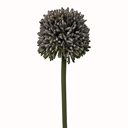 Floristrywarehouse Kunstblumen Allium Single Flower Stem Blau 55 cm