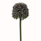 Floristrywarehouse Kunstblumen Allium Single Flower Stem Blau 55 cm