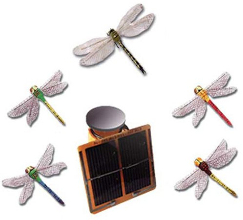 Bewegungsmodell Libelle