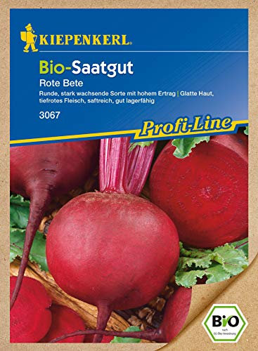 Rote Beete Detroit2/Bolivar Bio-Saatgut