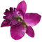 Diawell Orchidee Haarblume Haarclip Haarspange Blume Blüte Ansteckblume Haarschmuck