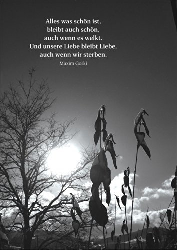 Kartenkaufrausch Bewegende Trauerkarte mit einem Maxim Gorki Zitat als Beileidsspruch • herzliche Anteilnahme zeigende Beistandskarte um zu kondolieren