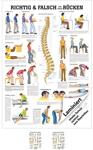 Richtig u. falsch für Ihren Rücken Lehrtafel Anatomie 100x70 cm med. Lehrmittel