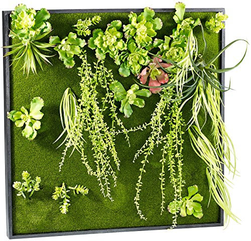 Carlo Milano Pflanzen Deko-Wand: Vertikaler Wandgarten Kurt mit Deko-Pflanzen, 60 x 60 cm (Pflanzenbild ohne Bewässerung, Pflanzenwände Kunststoff, Künstliche grüne)