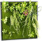Carlo Milano Pflanzen Deko-Wand: Vertikaler Wandgarten Kurt mit Deko-Pflanzen, 60 x 60 cm (Pflanzenbild ohne Bewässerung, Pflanzenwände Kunststoff, Künstliche grüne)