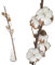 Echte Baumwolle - 1 Zweig 55 bis 60cm - 5 bis 7 Blüten pro Baumwollzweig - echte Trockenblumen zum basteln, sehr lange haltbar - getrocknete Blumen als Dekoration mit Stil Deko DIY basteln Floristik