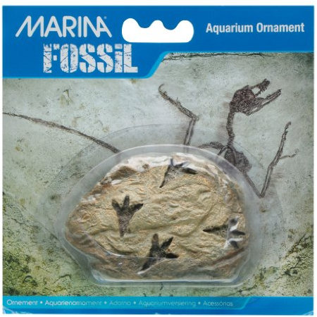 Marina Fußabdrücke Fossil Ornament für Aquarium