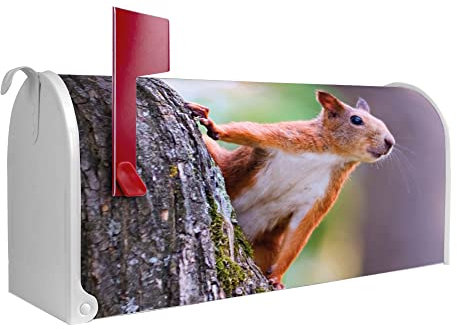 banjado® Amerikanischer Briefkasten - US Mailbox/Letterbox mit Motiv Eichhörnchen 51x22x17cm - Postkasten Stahl aus Amerika – Briefkasten amerikanisch pulverbeschichtet