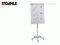 Dahle 00.28.95003 Flip-Chart Team,fahrbar,grau