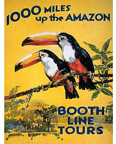 Wee Blue Coo LTD Amazon Toucan River Brazil South America Jungle Rain Forest Vintage Art Print Poster Wall Decor Kunstdruck Poster Wand-Dekor-12X16 Zoll