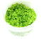 Micranthemum Monte Carlo (Cap)