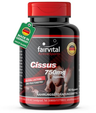 fairvital Cissus Kapseln, 90 Kapseln, 750mg pro Tag, Ketosterone + Calcium aus Rotalge, HOCHDOSIERT, VEGAN, Cissus Quadrangularis