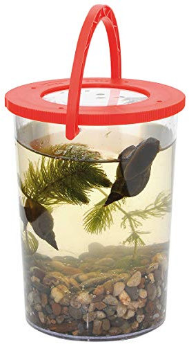 Eduplay Riesenbecherlupe - Becher mit Henkel und Lupe