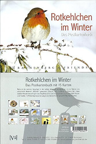 Rannenberg & Freunde Postkarte * Rotkehlchen im Winter - GRUSSKARTE - Winter - Vögel - Weihnachten