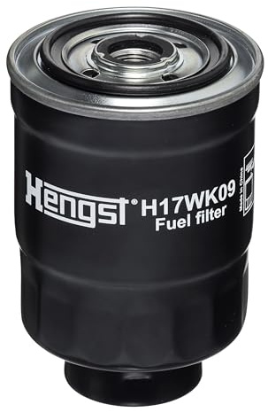 Hengst H17WK09