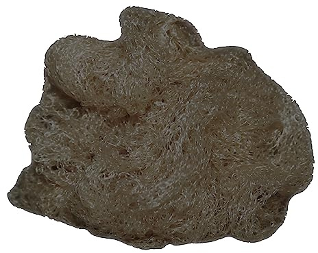 Hy Horse Rider Hair Nets - Standard Weight Dark Brown