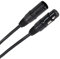 Plugger Câble DMX XLR Femelle 3b - XLR Mâle 3b 0m60 Easy Noir