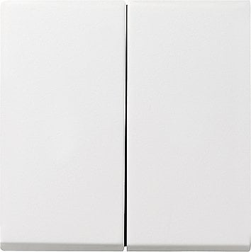 GIRA System 55 reinweiß glänzend, Schalter & Steckdosen