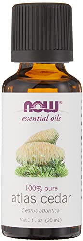 NOW Foods Ätherisches Öl, Atlas-Zeder Öl, 200 g