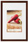 Walther BP015N Peppers Holzrahmen 10 x 15 nuß