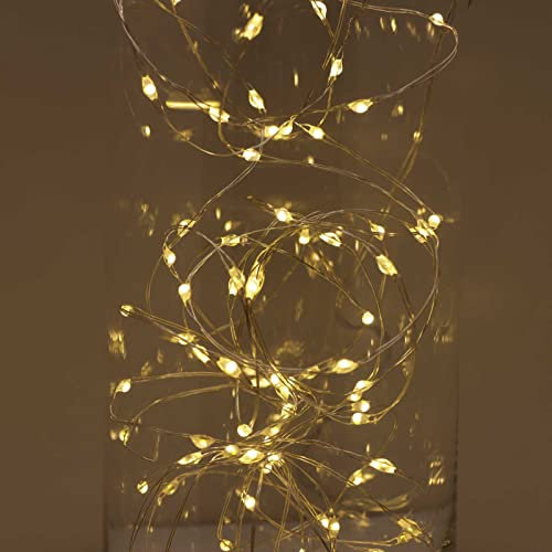 Qbis LED Christmas Lights, 100 Warm White Fairy Lights, Remote, Timer, Multifunction on Thin Wire. Micro Wire Lights (100 Warm White LEDs on Silver Wire)
