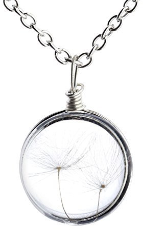 Jovivi Kette mit Anhänger,Echt Getrocknete Blumen Löwenzahn Saat Transparente Harzkugel zweiseitig Anhänger Halskette (20mm transparent)
