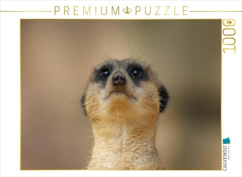 CALVENDO Puzzle EIN Motiv aus dem Kalender Erdmännchen – Zusammen sind wir stark/CH-Version | 1000 Teile Lege-Größe 64 x 48 cm Foto-Puzzle für glückliche Stunden