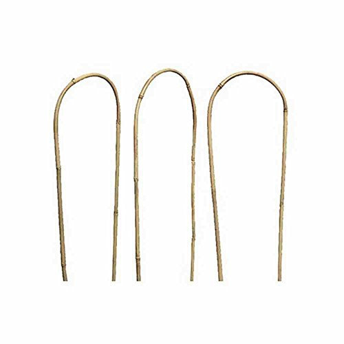 Siena Garden Rankhilfe, Kletterhilfe, aus Bambus, 120x24x2,5cm, 436433