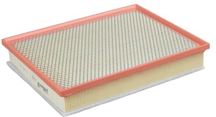 PURFLUX A1496 Motor Luftfilter Filtereinsatz Kompatibel mit BMW X5 E70 X6 E71, E72